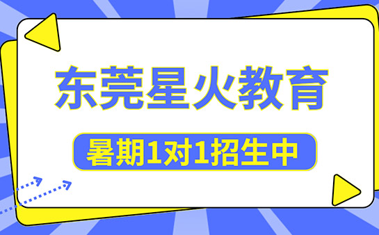东莞星火教育暑期1对1招生 价格低至百元起